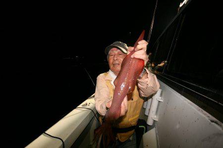 オーシャンズ　京都 釣果