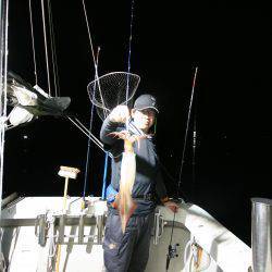 オーシャンズ　京都 釣果