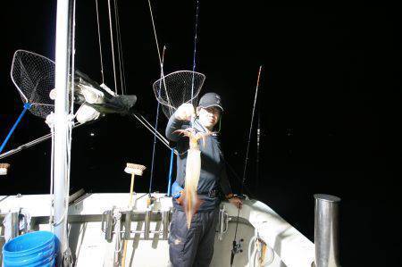 オーシャンズ　京都 釣果