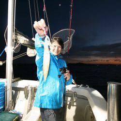 オーシャンズ　京都 釣果