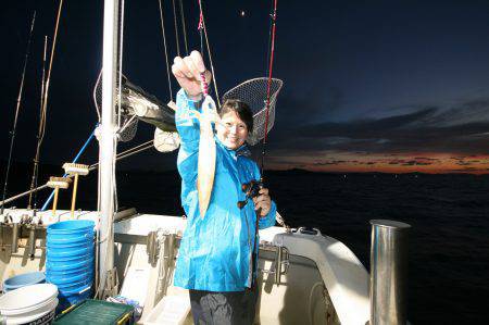 オーシャンズ　京都 釣果