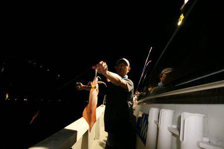 オーシャンズ　京都 釣果