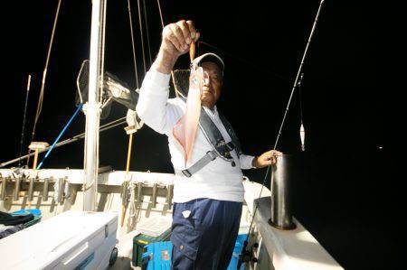 オーシャンズ　京都 釣果