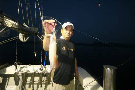 オーシャンズ　京都 釣果