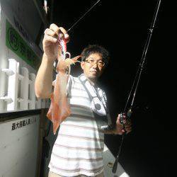 オーシャンズ　京都 釣果