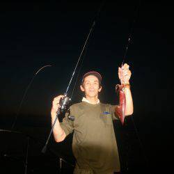 オーシャンズ　京都 釣果