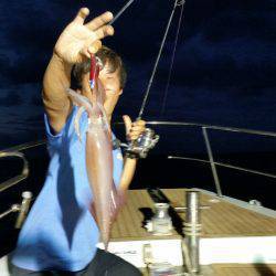 オーシャンズ　京都 釣果