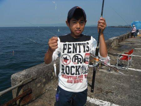 和歌山北港魚つり公園　豆アジ