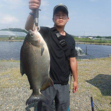 浜名湖フィッシングリゾート 釣果