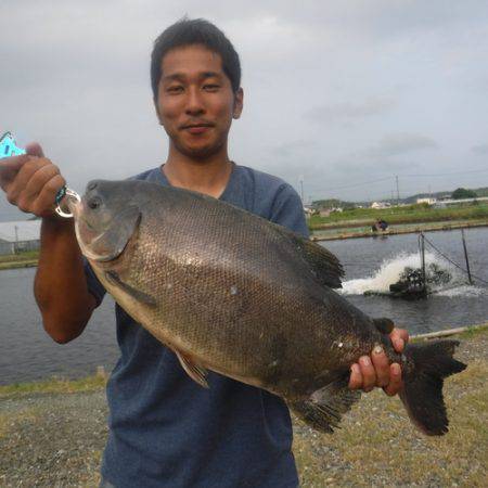 浜名湖フィッシングリゾート 釣果