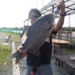 浜名湖フィッシングリゾート 釣果