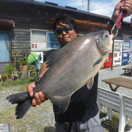 浜名湖フィッシングリゾート 釣果