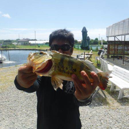 浜名湖フィッシングリゾート 釣果