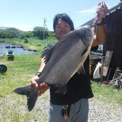 浜名湖フィッシングリゾート 釣果