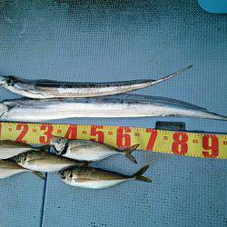 第二常豊丸 釣果