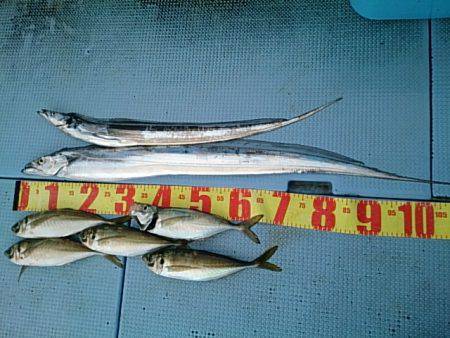 第二常豊丸 釣果