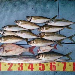 第二常豊丸 釣果