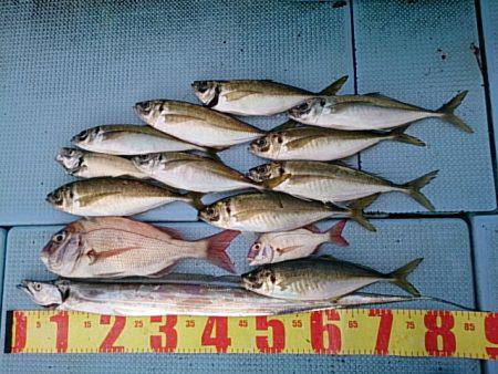 第二常豊丸 釣果