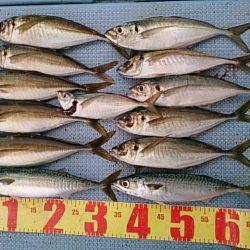 第二常豊丸 釣果