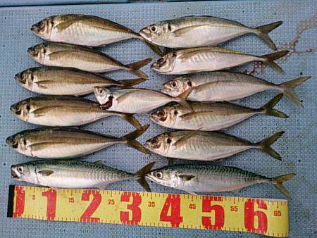 第二常豊丸 釣果