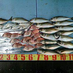 第二常豊丸 釣果