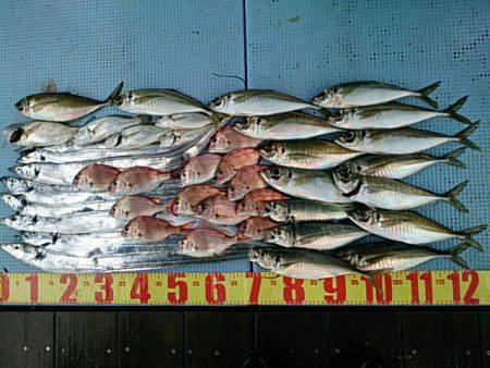 第二常豊丸 釣果