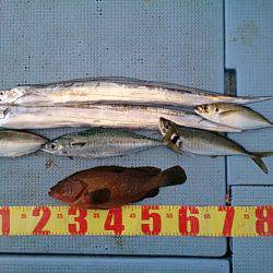 第二常豊丸 釣果