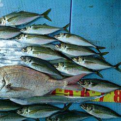 第二常豊丸 釣果