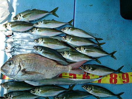 第二常豊丸 釣果