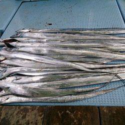 第二常豊丸 釣果