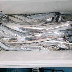 第二常豊丸 釣果