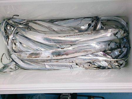 第二常豊丸 釣果