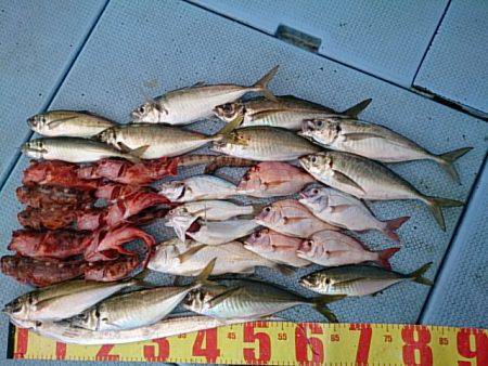 第二常豊丸 釣果