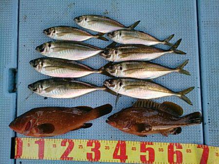 第二常豊丸 釣果