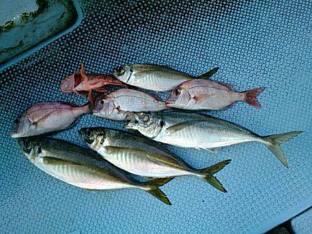 第二常豊丸 釣果