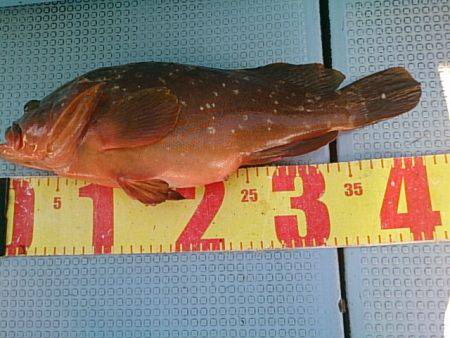 第二常豊丸 釣果