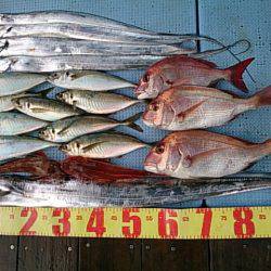 第二常豊丸 釣果