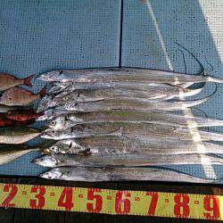 第二常豊丸 釣果