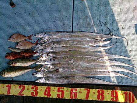 第二常豊丸 釣果