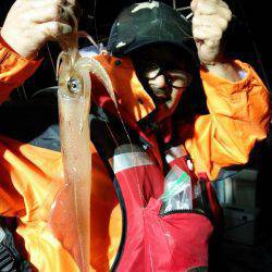 ハピネスⅡ 釣果