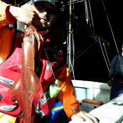 ハピネスⅡ 釣果