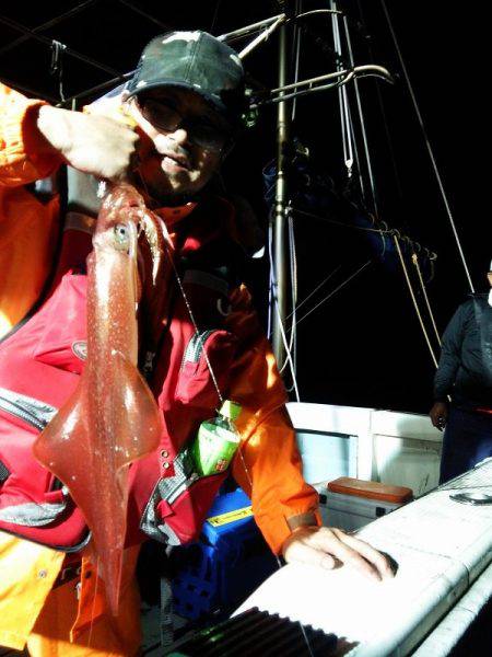 ハピネスⅡ 釣果