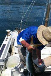 さぶろう丸 釣果