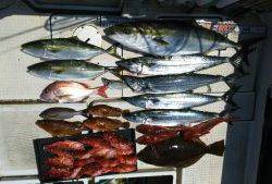 さぶろう丸 釣果