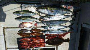 さぶろう丸 釣果