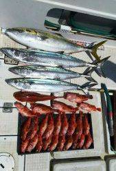 さぶろう丸 釣果