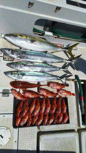 さぶろう丸 釣果