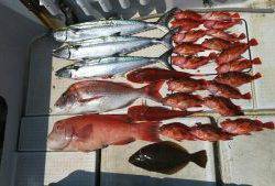 さぶろう丸 釣果