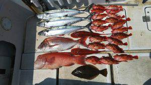 さぶろう丸 釣果