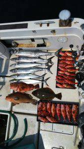 さぶろう丸 釣果